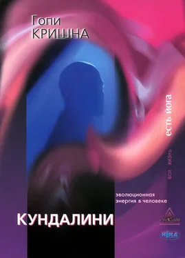 Гопи Кришна Кундалини: Эволюционная энергия в человеке обложка книги