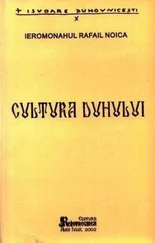 Rafail Noica - Cultura Duhului
