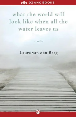 Laura van den Berg What the World Will Look Like When All the Water Leaves Us обложка книги