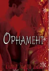 Дана Мари Белл - Орнамент (ЛП)
