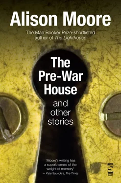 Alison Moore The Pre-War House and Other Stories обложка книги