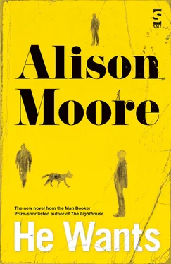 Alison Moore He Wants обложка книги