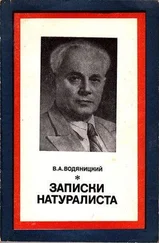 Владимир Водяницкий - Записки натуралиста