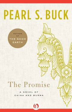 Pearl Buck The Promise обложка книги