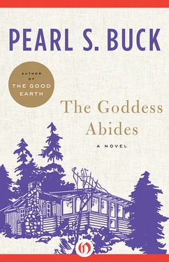 Pearl Buck The Goddess Abides обложка книги