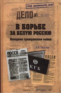 Андрей Окулов В борьбе за Белую Россию. Холодная гражданская война обложка книги