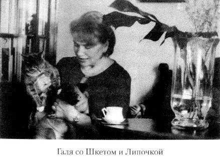 ЭПИЗОДЫ КОТОРЫЕ НЕ ВОШЛИ В ТЕ КНИГИ Когда я писал книги Безбилетный - фото 91