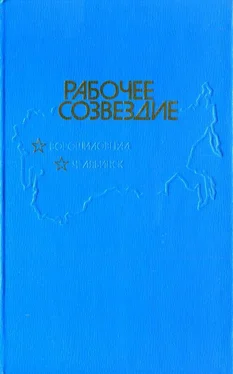 Константин Скворцов Рабочее созвездие обложка книги