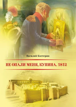 Василий Костерин Не опали меня, Купина. 1812 обложка книги