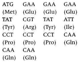 Next he took the first letter of the name of each acid and lined them up - фото 8