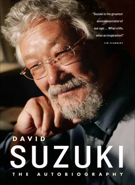 David Suzuki David Suzuki обложка книги