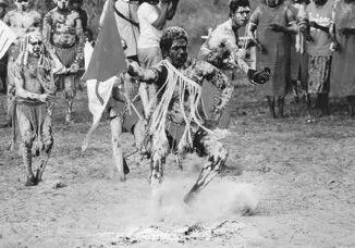Aboriginal people in Arnhemland performing for The Sacred Balance In a simple - фото 43