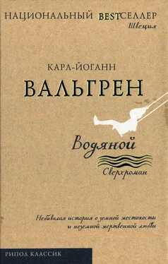 Карл-Йоганн Вальгрен Водяной обложка книги