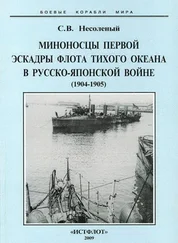 Сергей Несоленый - Миноносцы Первой эскадры флота Тихого океана в русско-японской войне (1904-1905 гг.)