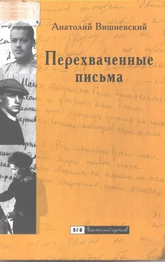 Анатолий Вишневский Перехваченные письма обложка книги