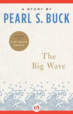 Pear Buck The Big Wave обложка книги