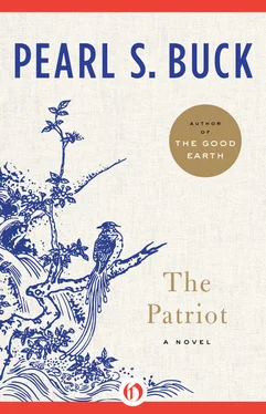 Pearl Buck Patriot обложка книги