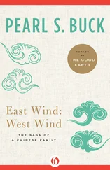 Pearl Buck - East Wind - West Wind