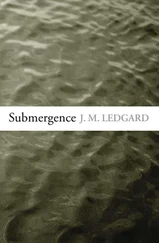 J. Ledgard - Submergence