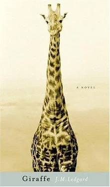 J. Ledgard Giraffe обложка книги