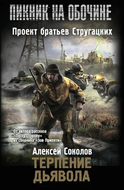 Алексей Соколов Терпение дьявола обложка книги