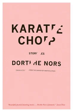 Dorthe Nors Karate Chop: Stories обложка книги