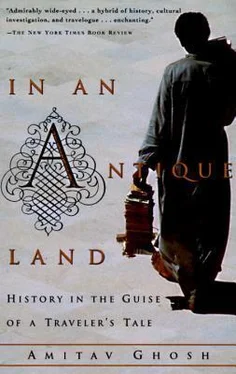 Amitav Ghosh In an Antique Land: History in the Guise of a Traveler's Tale обложка книги