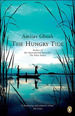 Amitav Ghosh The Hungry Tide обложка книги