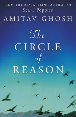 Amitav Ghosh The Circle of Reason обложка книги