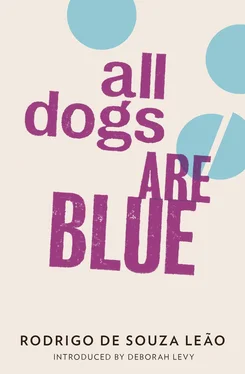 Rodrigo Leao All Dogs are Blue обложка книги