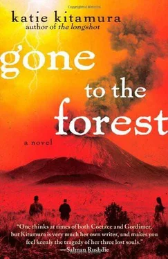 Katie Kitamura Gone to the Forest обложка книги