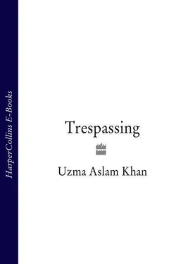 Uzma Khan Trespassing обложка книги