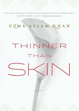 Uzma Khan Thinner Than Skin обложка книги