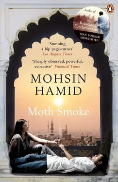 Mohsin Hamid Moth Smoke обложка книги