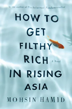 Mohsin Hamid How to Get Filthy Rich in Rising Asia обложка книги