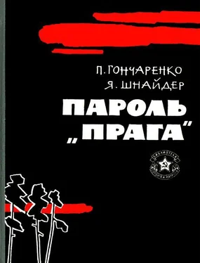 Павлина Гончаренко Пароль — «Прага» обложка книги