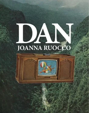 Joanna Ruocco Dan обложка книги