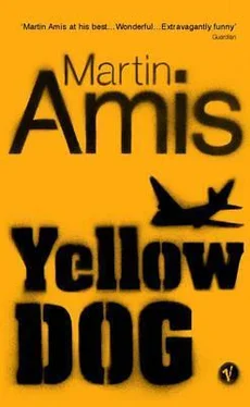 Martin Amis Yellow Dog обложка книги