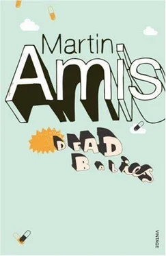 Martin Amis Dead Babies обложка книги