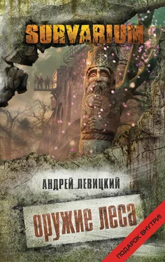 Андрей Левицкий Оружие Леса обложка книги