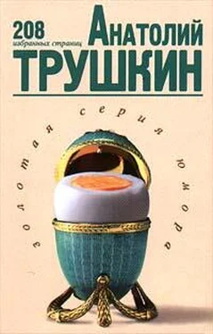 Анатолий Трушкин 208 избранных страниц обложка книги