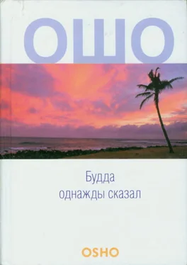 Бхагаван Раджниш Будда однажды сказал обложка книги