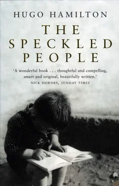 Hugo Hamilton The Speckled People: A Memoir of a Half-Irish Childhood обложка книги