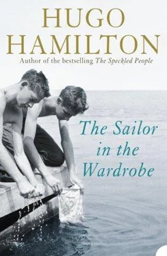 Hugo Hamilton The Sailor in the Wardrobe обложка книги