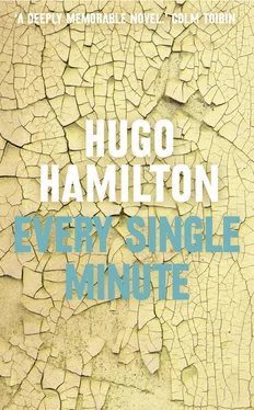 Hugo Hamilton Every Single Minute обложка книги