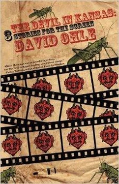 David Ohle The Devil in Kansas обложка книги