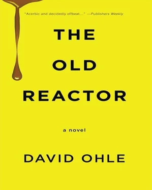 David Ohle The Old Reactor обложка книги