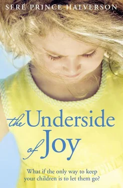 Seré Halverson The Underside of Joy обложка книги