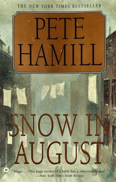 Pete Hamill Snow in August обложка книги