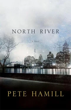 Pete Hamill North River обложка книги